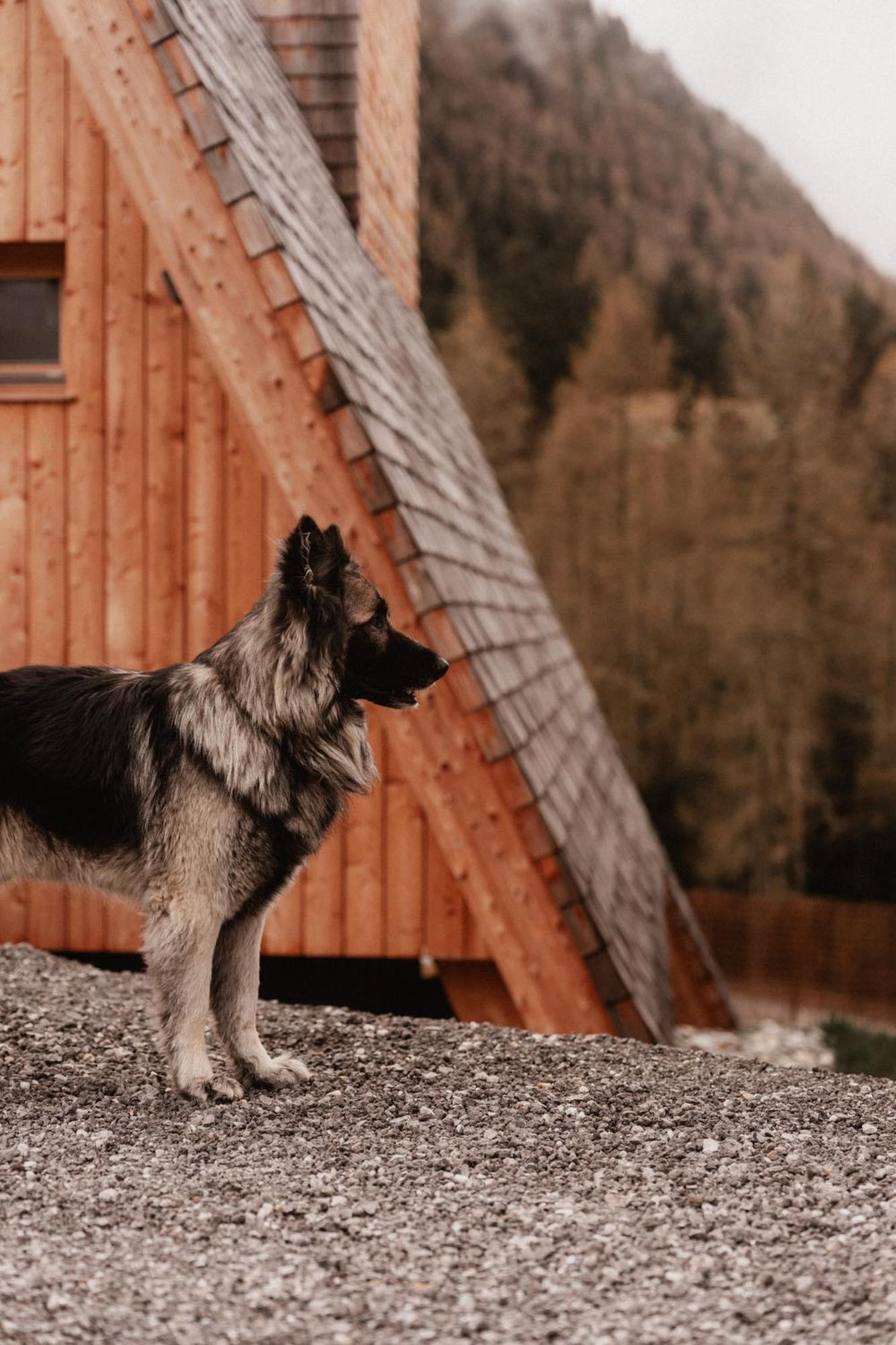 Collis Hill Chalets & Hotel Kals-am Großglockner Exterior foto